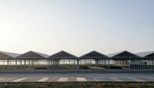 周末医疗服务选型建议，常见问题及处理方向
